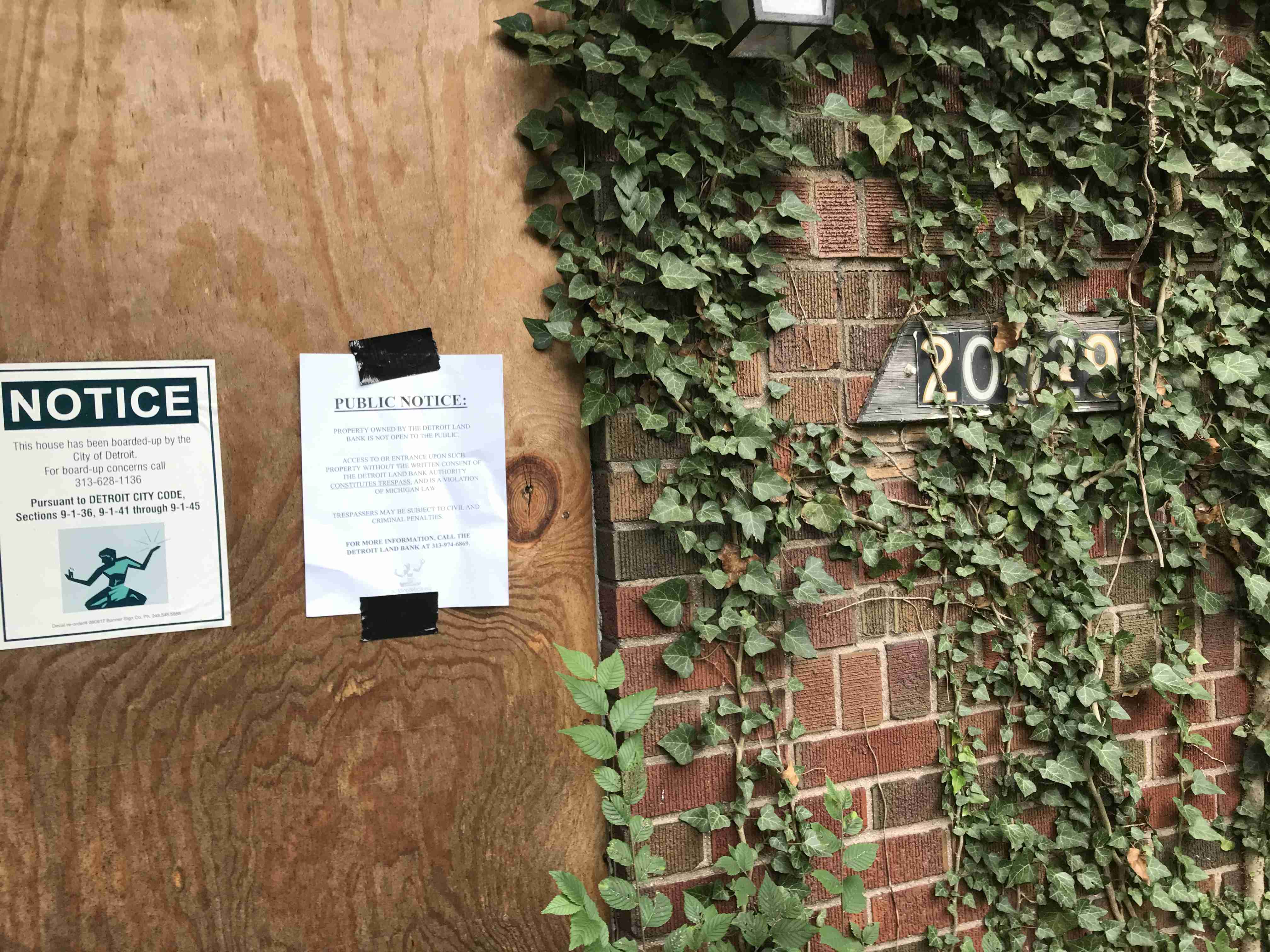 Photo Sep 10, 2 43 11 PM.jpg